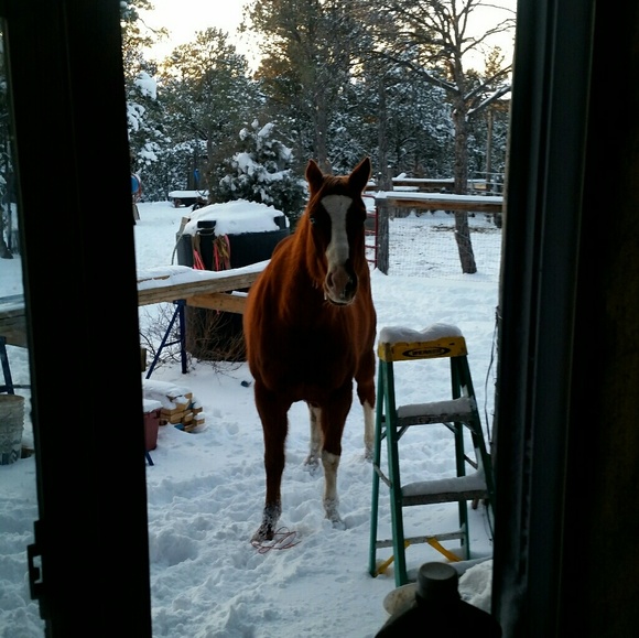 Hello - Picture 4 of 9